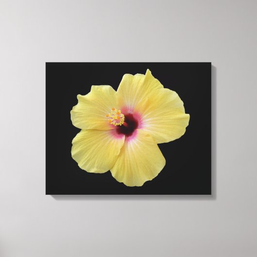 Gele Hibiscus bloem gewikkeld canvas Afdruk (Voorkant)