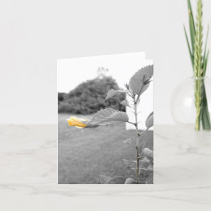 Gele Hibiscus bloem Note Kaarten