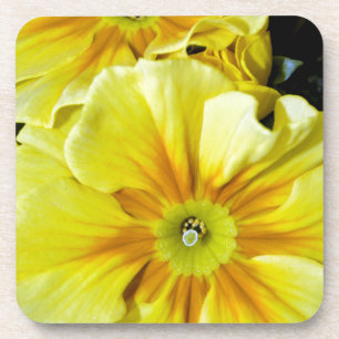 Gele hibiscus bloemen drankjes onderzetter