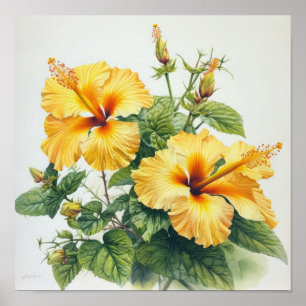 Gele Hibiscus Bloemenkunst Print Poster