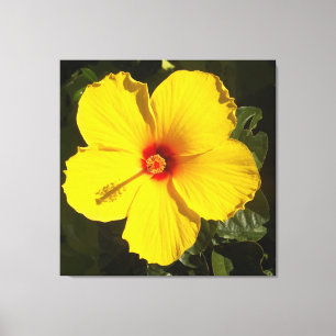 Gele Hibiscus Flower Canvas Afdruk