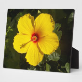 Gele Hibiscus Flower Fotoplaat (Zijkant)