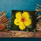 Gele Hibiscus Flower Fotoplaat (Zijkant)