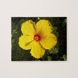 Gele Hibiscus Flower Legpuzzel