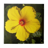 Gele Hibiscus Flower Tegeltje (Voorkant)