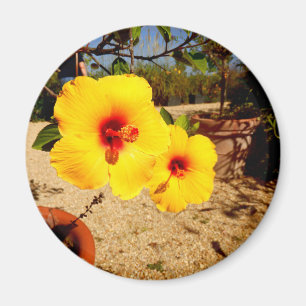 Gele Hibiscus Magnet Magneet