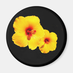 Gele Hibiscus Magnet Magneet