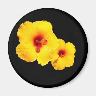 Gele Hibiscus Magnet Magneet