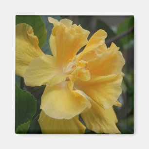 Gele Hibiscus magnet Magneet