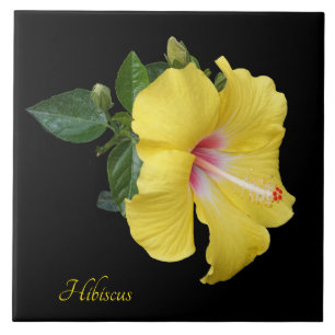 gele hibiscus op zwart tegeltje