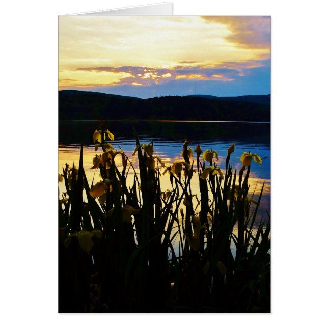 Gele Iris aan de kust van het Arrowidenmeer (Voorkant)