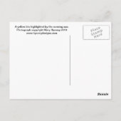 Gele Iris Briefkaart (Achterkant)