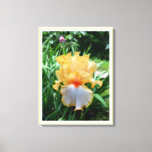 Gele Iris Flower Garden Canvas afdrukken (Voorkant)