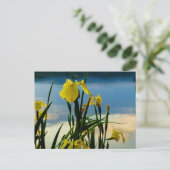 Gele Iris op Lake Shore Briefkaart (Staand voorkant)