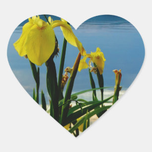 Gele Iris op Lake Shore Hart Sticker
