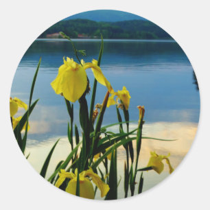 Gele Iris op Lake Shore Ronde Sticker