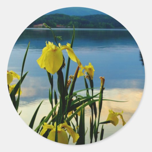 Gele Iris op Lake Shore Ronde Sticker (Voorkant)