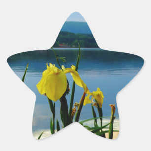 Gele Iris op Lake Shore Ster Sticker