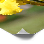 Gele iris poster (Hoek)