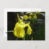 Gele Istees Bright Spring Floral Briefkaart (Voorkant / Achterkant)