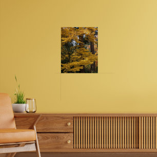 Gele Japanse Esdoornbladeren Botanisch Poster