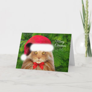 Gele Kat in Santa Hoed met Boog Feestdagen Kaart