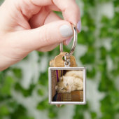 gele kattenpoot op de bank. sleutelhanger (Hand)