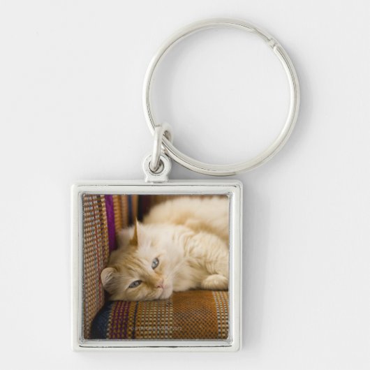 gele kattenpoot op de bank. sleutelhanger (Voorkant)