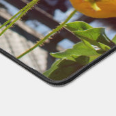 Gele klaprozen in de Marina Port of Olympia Bureaumat (Hoek)