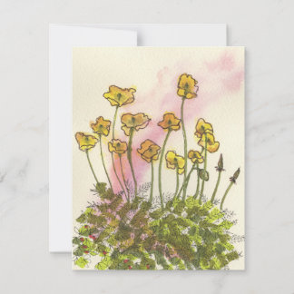 Gele klaprozen wilde bloemen groetkaart