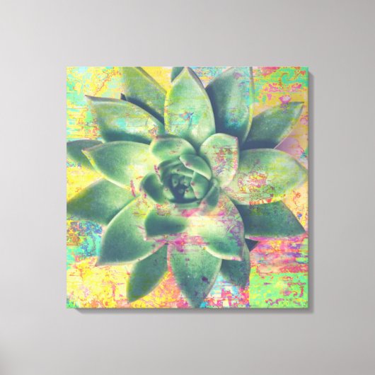 Gele kleurenpatches Succulent Canvas Art (Voorkant)