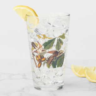 Gele komkommers van Audubon in de fruitboom Glas