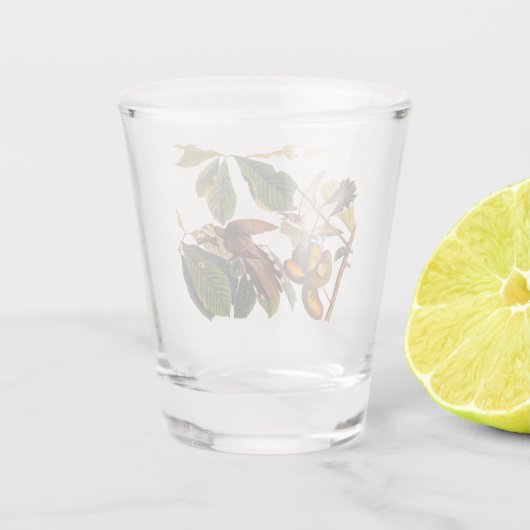 Gele komkommers van Audubon in de fruitboom Shot Glas (Achterkant)