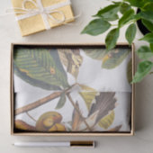 Gele komkommervogels in de fruitboom van Audubon Tissuepapier (Geschenk)