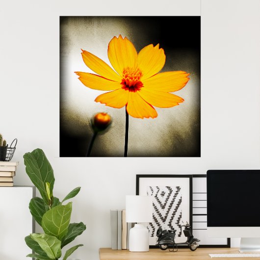 Gele kosmosbloem - fijn Poster (Thuiskantoor)