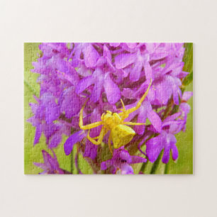 Gele Krabspin Foto Puzzel met Cadeau Doos