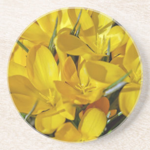 Gele krokusbloemen zandsteen onderzetter