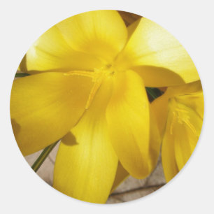 Gele kruispunten ronde sticker
