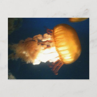 Gele kwal briefkaart