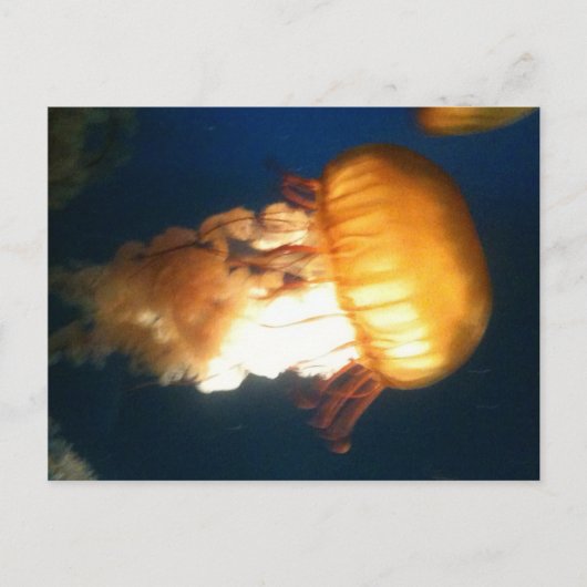 Gele kwal briefkaart (Voorkant)