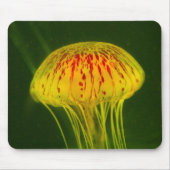 Gele kwal muismat (Voorkant)