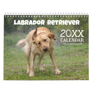 Gele Lab Labrador Retriever Mooie Hond Kalender