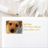 Gele Lab Puppy Mailing Label (Insitu)