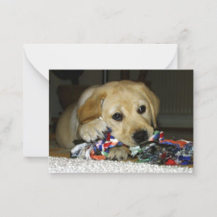 gele lab puppy met speelgoed notitiekaartje