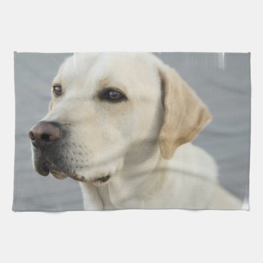 Gele lab Towel Theedoek (Horizontaal)