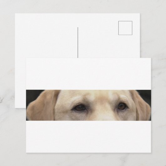 gele laboratoriumogen briefkaart (Voorkant / Achterkant)