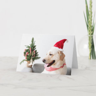 GELE LABRADOR BIJ KERSTMIS Gevouwen Wenskaart Kaart