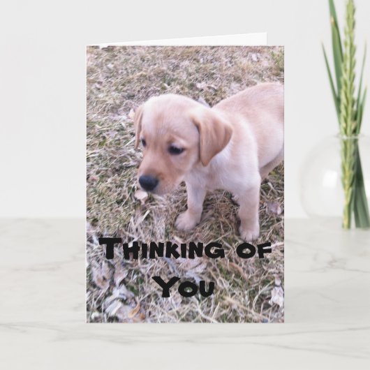 Gele Labrador denkt aan je Kaart (Voorkant)