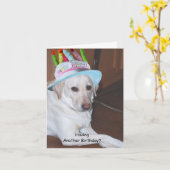 Gele Labrador in het Pet van de Verjaardag Kaart (Gele Bloem)