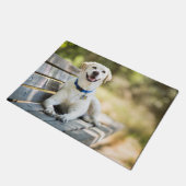 gele labrador introduceert op bank deurmat (Schuin)